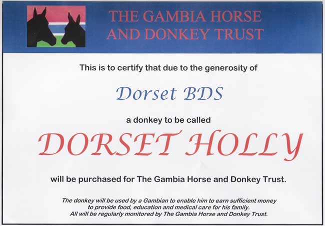 Dorset Holly Certificate